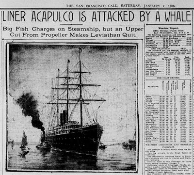 Vessel Strikes of Large Whales in the Eastern Tropical Pacific: A Case Study of Regional Underreporting